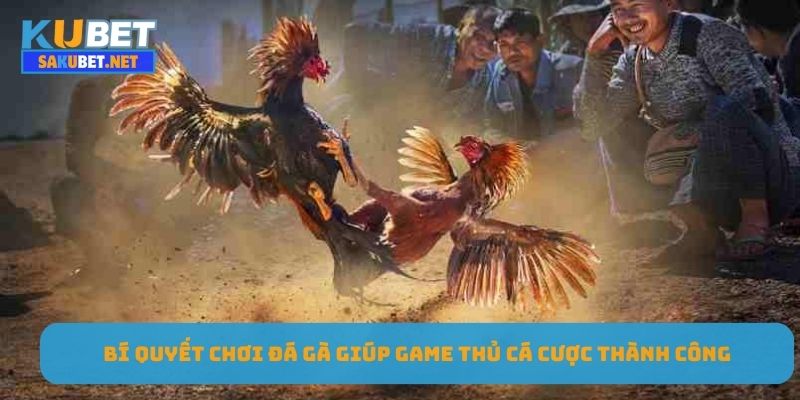 Bí quyết chơi đá gà giúp game thủ cá cược thành công