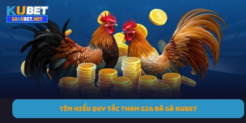 Tìm hiểu quy tắc tham gia đá gà KUBET